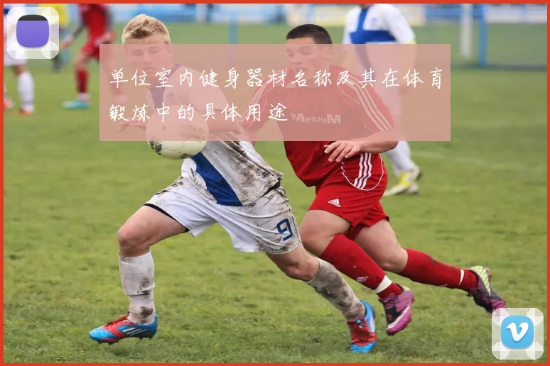 单位室内健身器材名称及其在体育锻炼中的具体用途