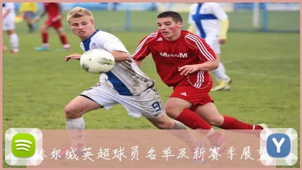 赫尔城英超球员名单及新赛季展望