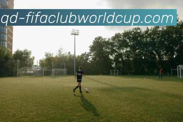 世界杯赛程平台生态图